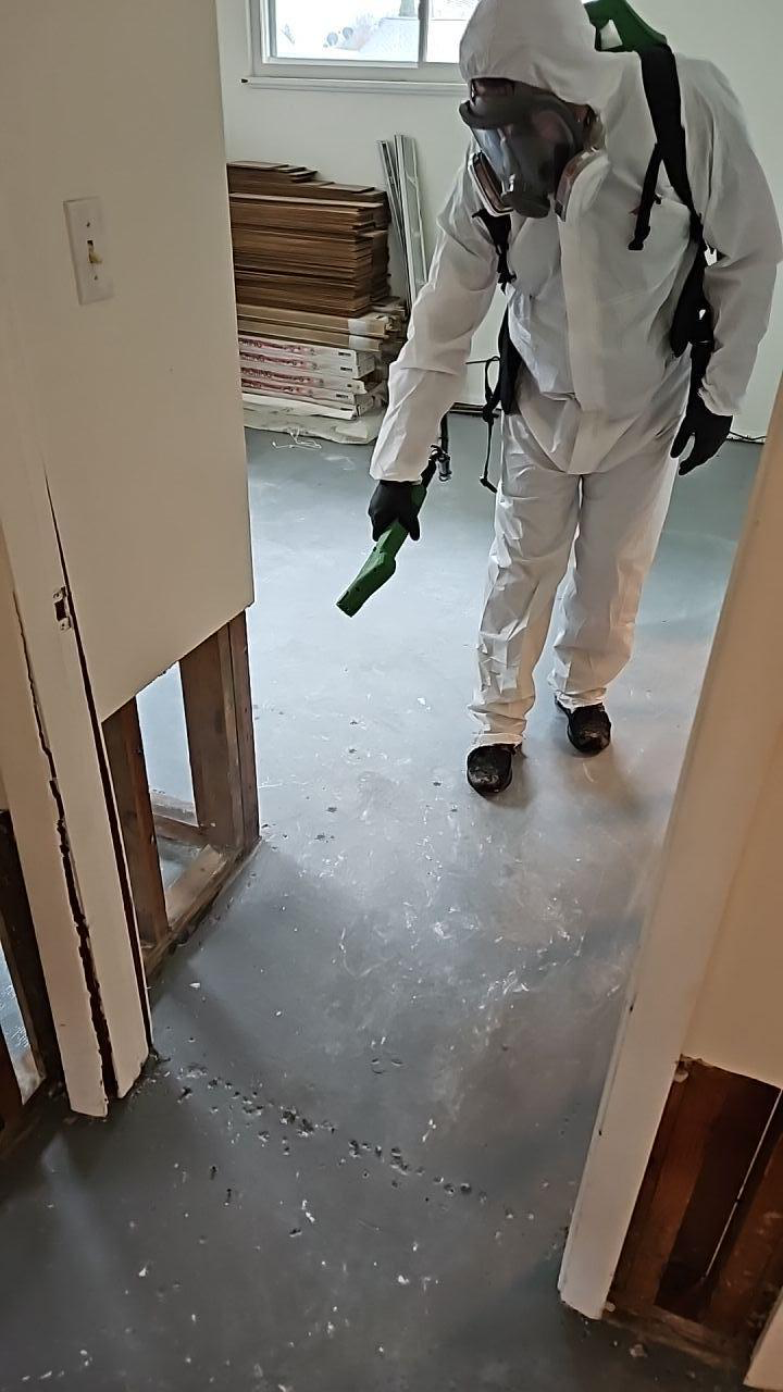 Mold remediation containment